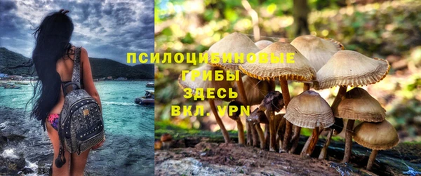 метадон Кукмор