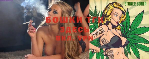 спайс Кулебаки