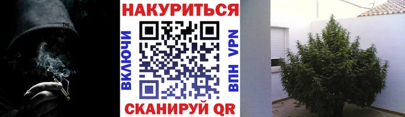 Канабис OG Kush  Хотьково 